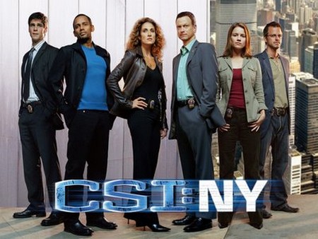 CSI NY 6
