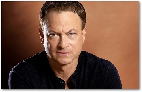 csi new york 7 gary sinise