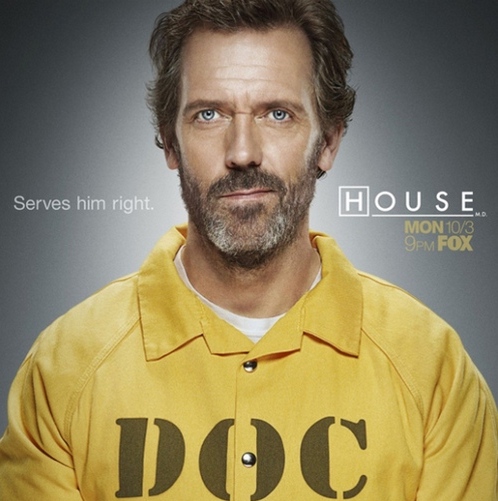 Dr House 8 poster 3 500