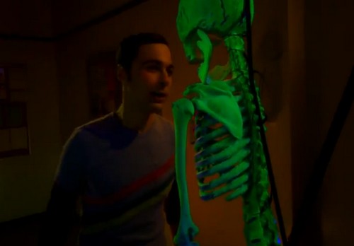 The Big Bang Theory 5x07 (7)