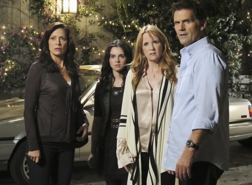 Switched at Birth 1x15 (8)