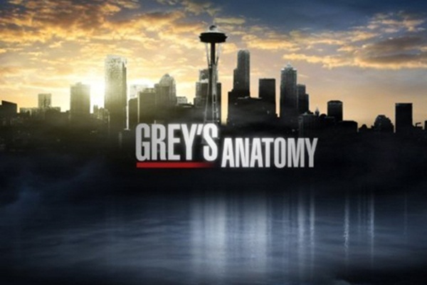 Grey's Anatomy 10