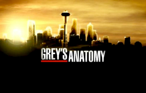 Grey’s Anatomy 10