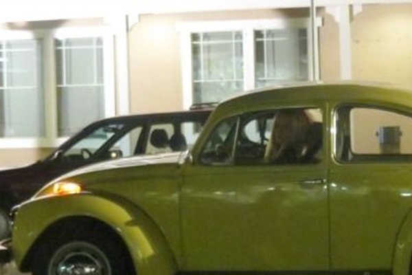 Once Upon a Time in Wonderland Backstage 3