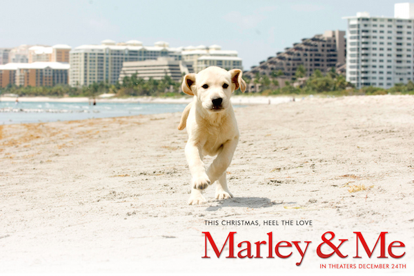 Marley & me