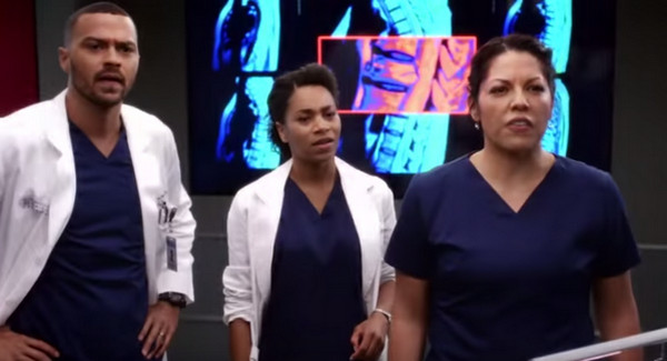 Grey's Anatomy 12x02 4