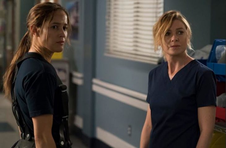 In Che Ordine Guardare Grey's Anatomy E Station 19
