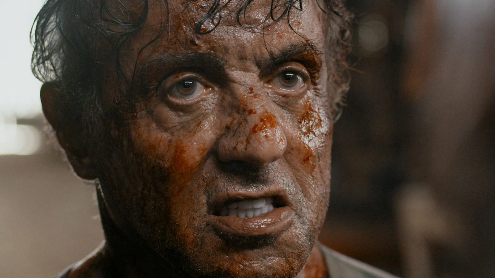 Sylvester Stallone